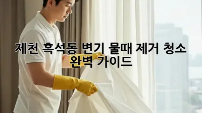 제천 흑석동 변기 물때 제거 청소 완벽 가이드