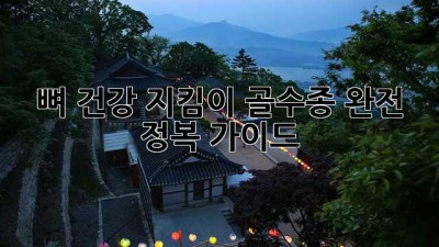뼈 건강 지킴이🚨 골수종 완전 정복 가이드🩻